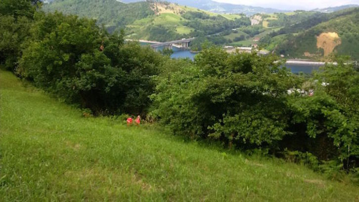 Efectivos de los grupos de búsqueda, en Orio. (@112_SOSDeiak)