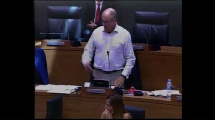 Luis Zarraluqui, el pasado jueves en el Parlamento navarro. (NAFARROAKO PARLAMENTUA)