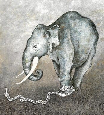 gara-2017-06-13-Noticia