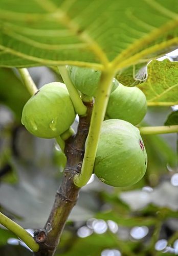 gara-2017-06-13-Noticia