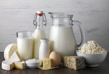 gara-2017-06-27-Noticia