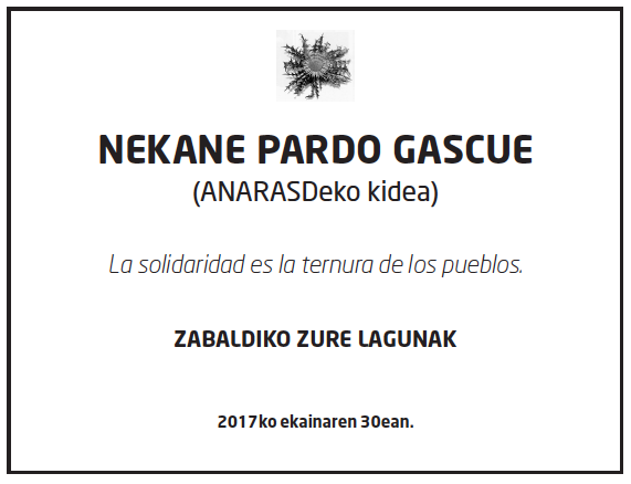 Nekane-pardo-gascue-1