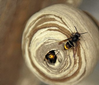 gara-2017-07-03-Reportaje