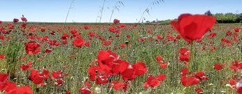 gara-2017-07-04-Noticia