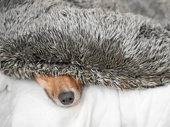 gara-2017-07-04-Noticia