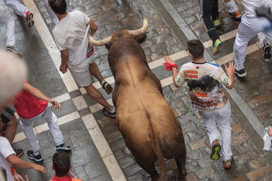 Zezen-adarra, azaletik gertu. (Andoni CANELLADA/ARGAZKI PRESS) Zezen-adarra, azaletik gertu. (Andoni CANELLADA/ARGAZKI PRESS)
