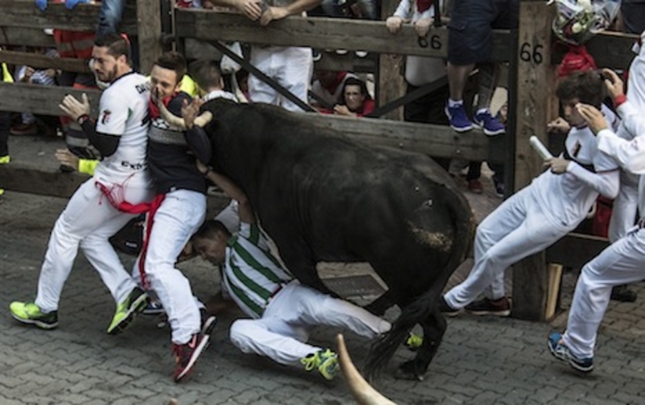 El pitón pasa rozando el rostro de unos de los mozos. (Jagoba MANTEROLA/ARGAZKI PRESS) El pitón pasa rozando el rostro de unos de los mozos. (Jagoba MANTEROLA/ARGAZKI PRESS)