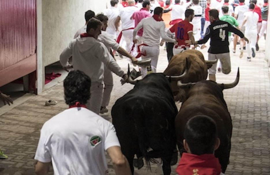 Tres toros entran en el callejón. (Jaboba MANTEROLA/ARGAZKI PRESS) Tres toros entran en el callejón. (Jaboba MANTEROLA/ARGAZKI PRESS)