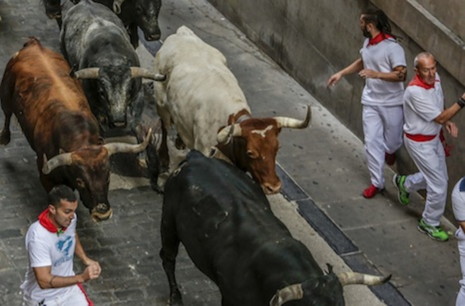 Los morlacos, a su paso por el Ayuntamiento. (Lander FERNANDEZ DE ARROYABE/ARGAZKI PRESS)