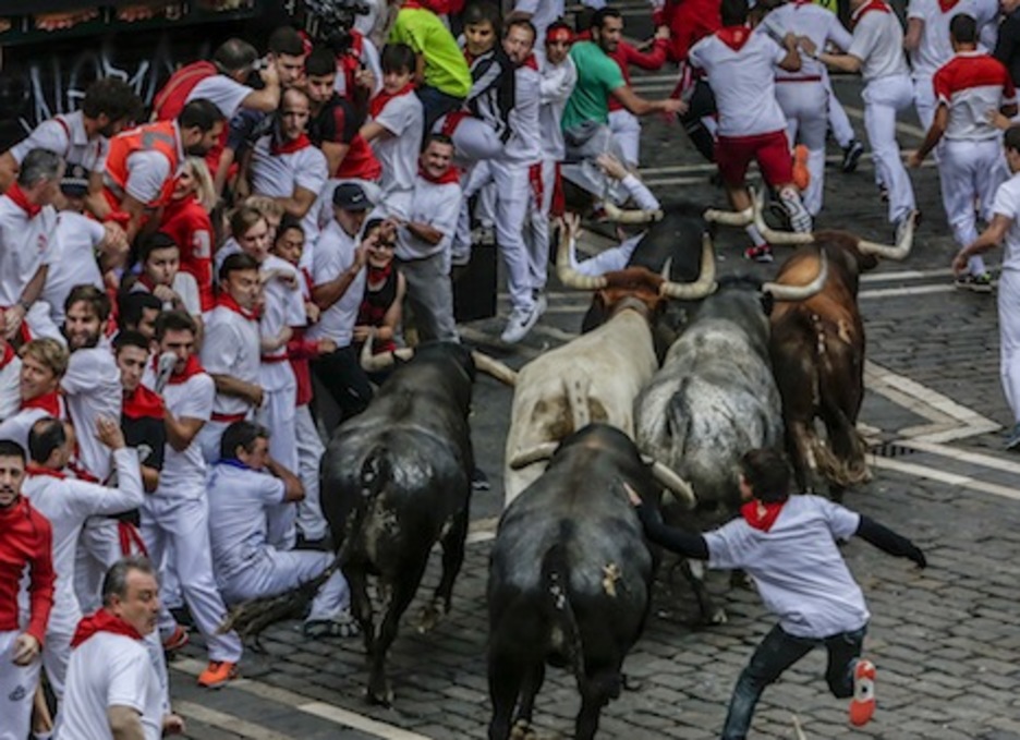 El mozo termina cayendo delante de las astas de los Miuras, que no hacen por él. (Lander FERNANDEZ DE ARROYABE/ARGAZKI PRESS)