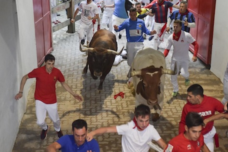 Huron entra en el callejón acompañado por un manso. (Juan Carlos RUIZ/ARGAZKI PRESS)