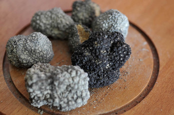 udate-0714-gune-gastronomikoak-09