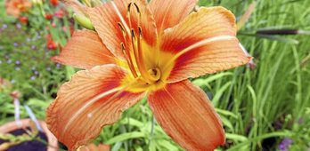 gara-2017-07-24-Noticia