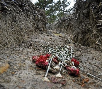 gara-2017-07-24-Reportaje