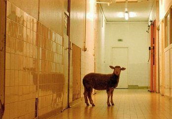 gara-2017-07-24-Noticia