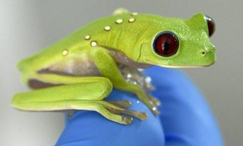 gara-2017-08-01-Reportaje