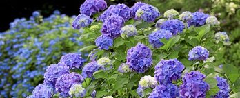 gara-2017-08-01-Noticia