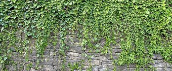 gara-2017-08-07-Noticia