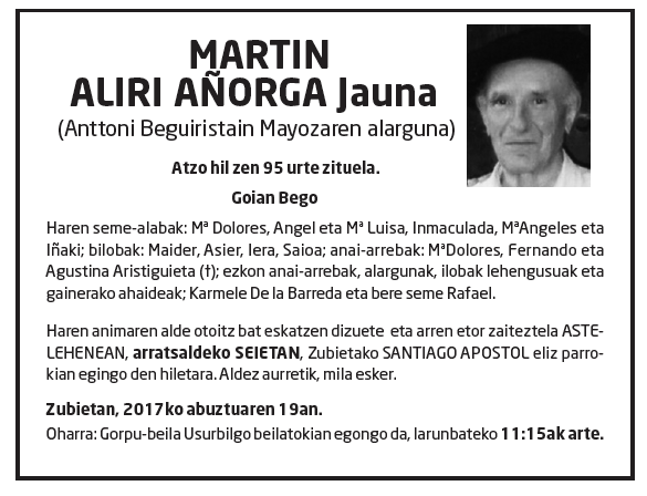 Martin-aliri-an_orga-1