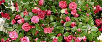 gara-2017-08-21-Noticia