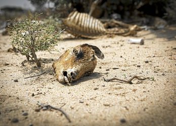 gara-2017-08-29-Reportaje