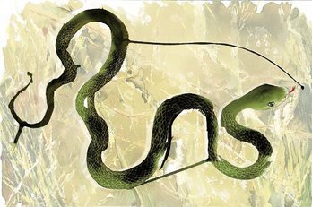 gara-2017-09-02-Reportaje