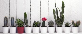 gara-2017-09-02-Noticia