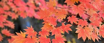 gara-2017-09-05-Noticia