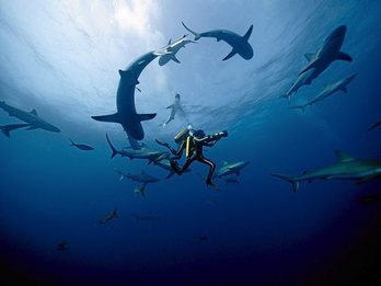 gara-2017-09-14-Noticia