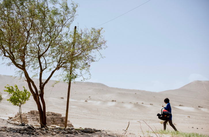 Un fotograma de «Una especie de familia». (DONOSTIAKO ZINEMALDIA)