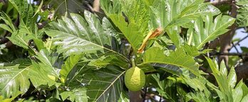 gara-2017-09-26-Noticia