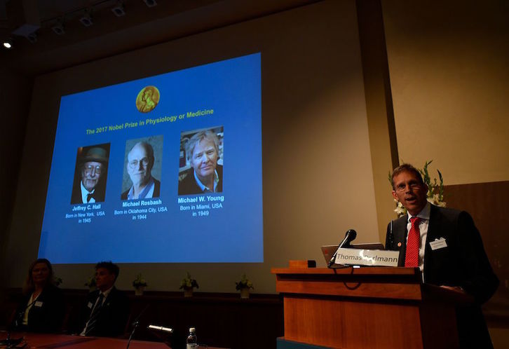 El Nobel de Medicina será para tres doctores estadounidenses. (Jonathan NACKSTRAND  / AFP)