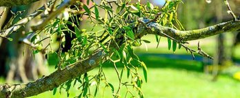 gara-2017-10-17-Noticia