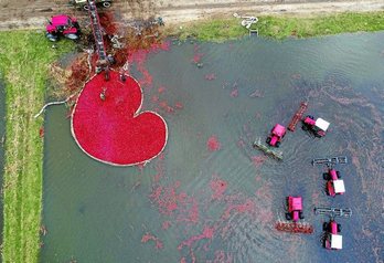 gara-2017-10-24-Noticia