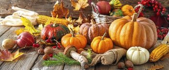 gara-2017-10-31-Noticia