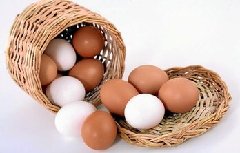 gara-2017-11-07-Noticia