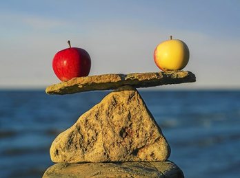 gara-2017-11-07-Noticia