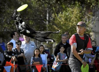 gara-2017-11-13-Noticia