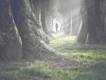 gara-2017-11-21-Noticia