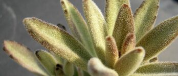 gara-2017-12-04-Noticia