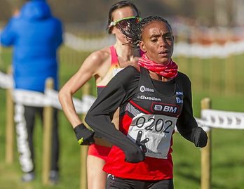 gara-2017-12-10-Noticia