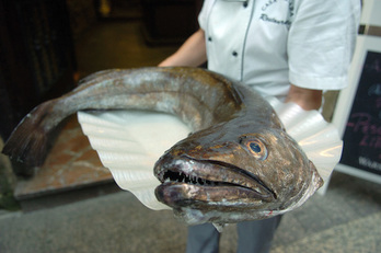 Un ejemplar de merluza. (Jon URBE / ARGAZKI PRESS)