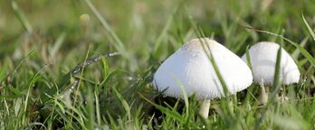 gara-2018-01-16-Noticia