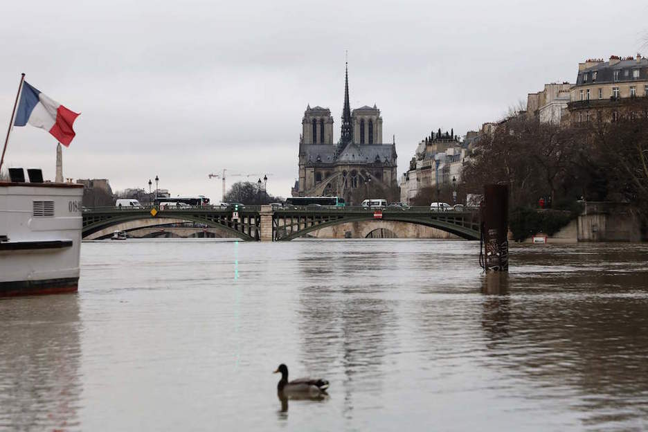 Notre-Dame katedrala atzean. (Ludovic MARIN | AFP)