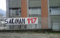 Sakana117