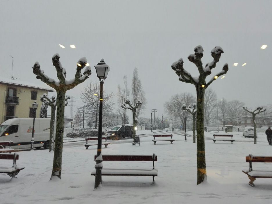Tolosa ere batu da egun txurira. (NAIZ)