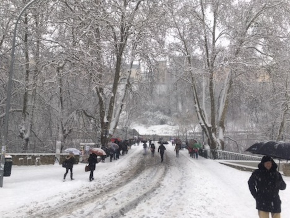La nieve cubre los árboles y el puente de Curtidores de Iruñea.