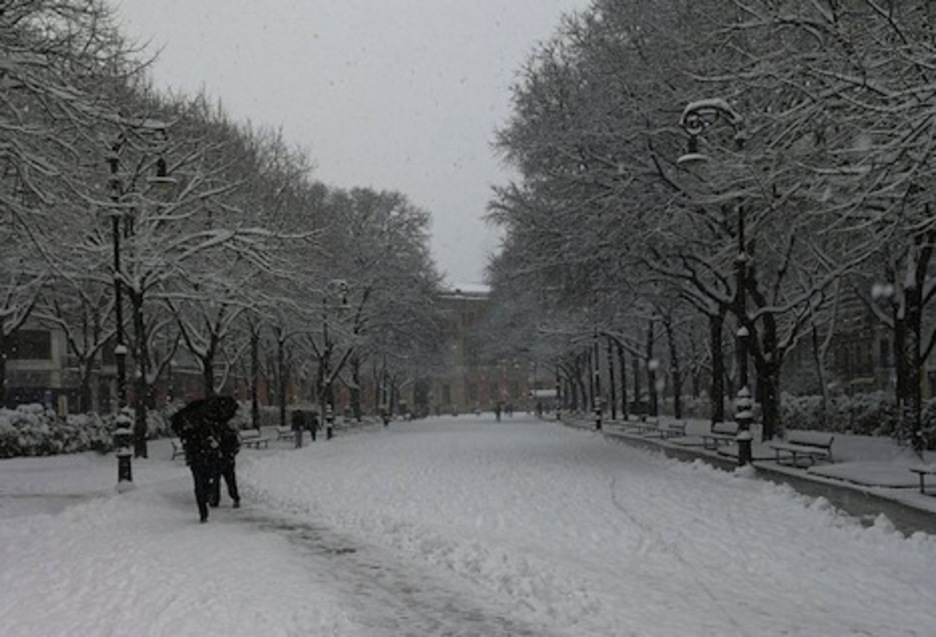 El otro extremo del paseo de Sarasate, con un manto blanco. (@martzelodiaz) El otro extremo del paseo de Sarasate, con un manto blanco. (@martzelodiaz)