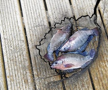 gara-2018-03-26-Reportaje