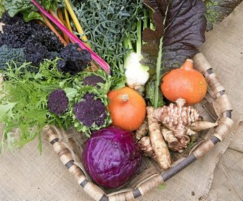 gara-2018-04-03-Reportaje